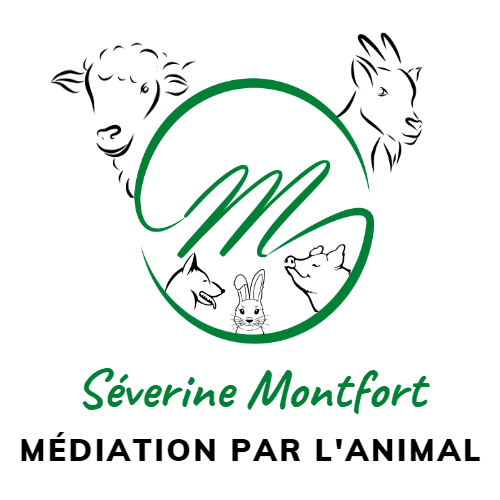 logo de la médiation